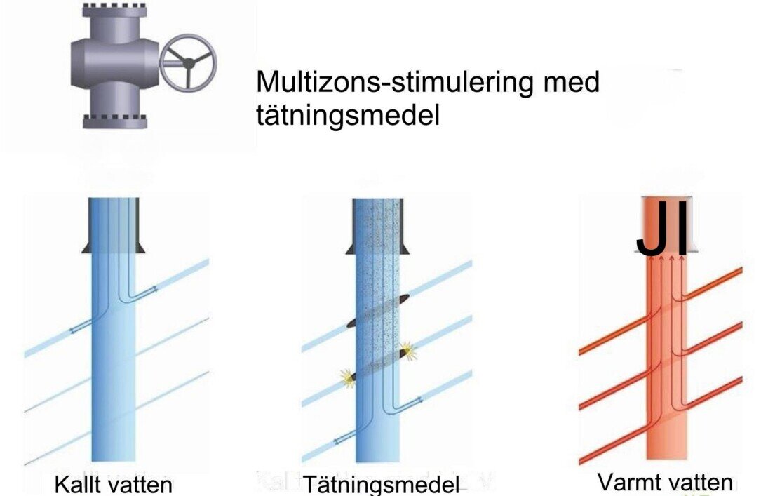 TZIM schematisk